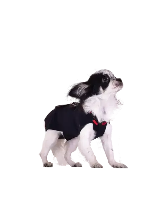WinPet  WİNPET PLUS XXS - Gorsel 7