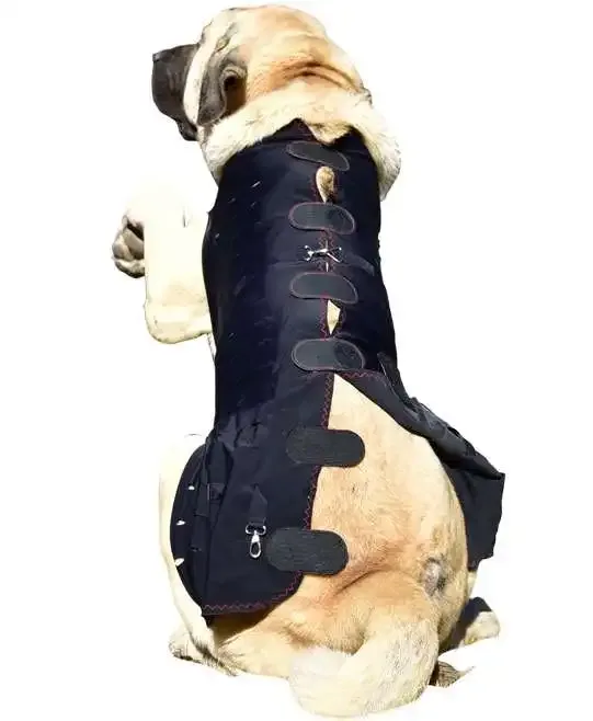 WinPet  WİNPET PLUS XXL - Gorsel 4