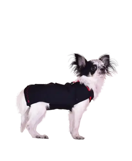 WinPet  WİNPET PLUS XXS - Gorsel 10