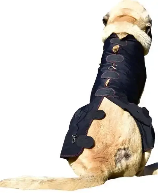 WinPet  WİNPET PLUS XXL - Gorsel 3