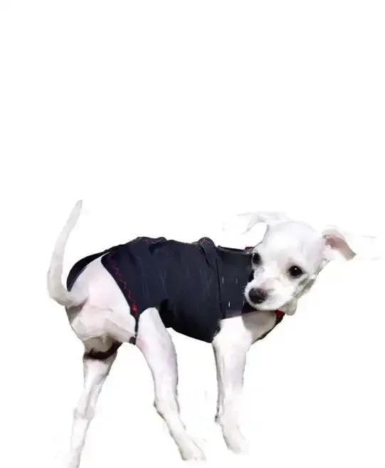 WinPet  WİNPET PLUS XXS - Gorsel 5