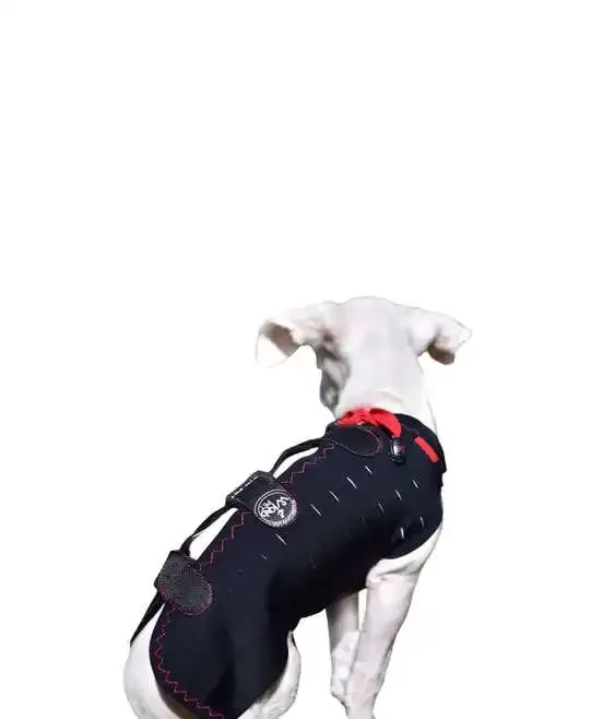WinPet  WİNPET PLUS XXS - Gorsel 3