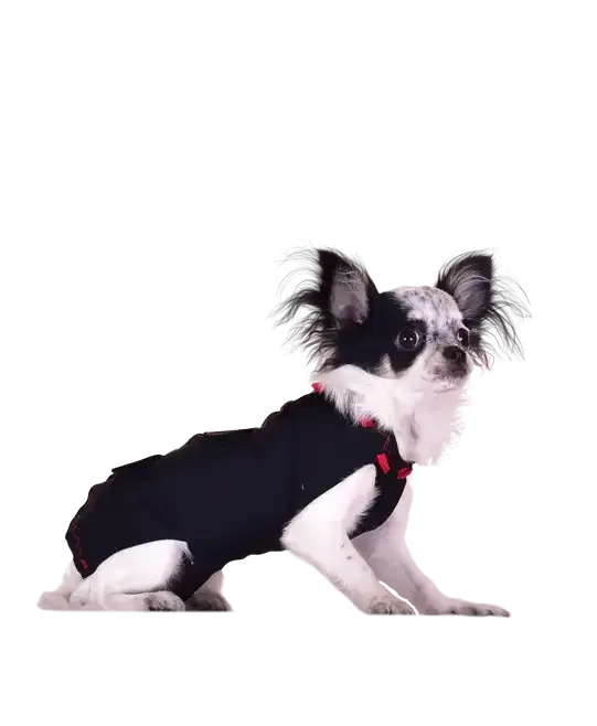 WinPet  WİNPET PLUS XXS - Gorsel 11
