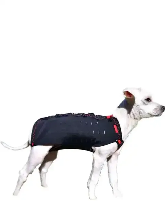 WinPet  WİNPET PLUS XXS - Gorsel 4