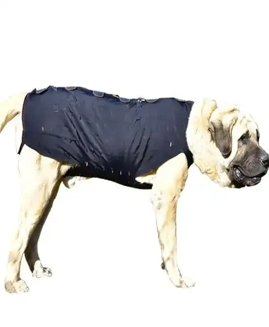 WinPet  WİNPET PLUS XXL - Gorsel 5
