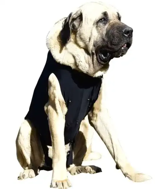WinPet  WİNPET PLUS XXL - Gorsel 2