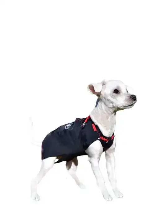 WinPet  WİNPET PLUS XXS - Gorsel 2