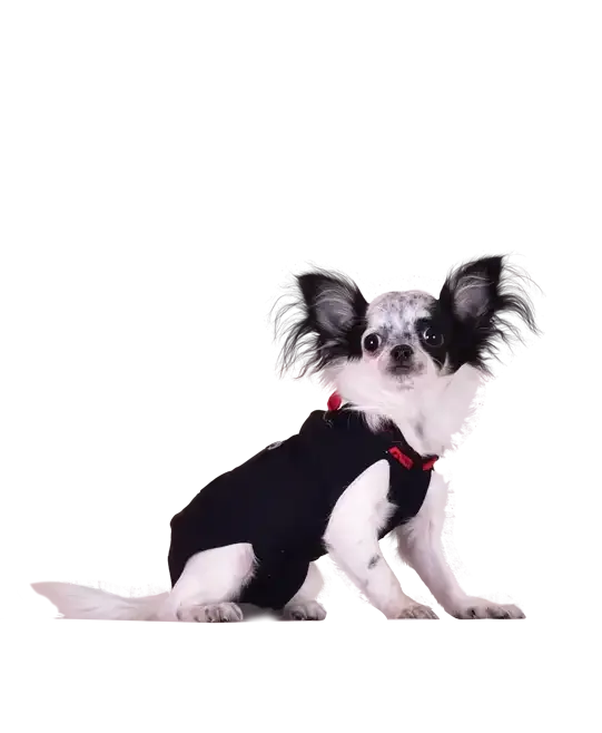 WinPet  WİNPET PLUS XXS - Gorsel 9