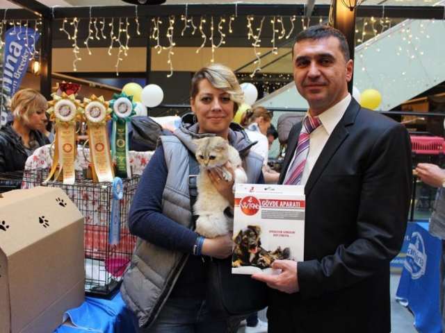 WinPet Cat Show Bosphorus Pearl 028 1024x695