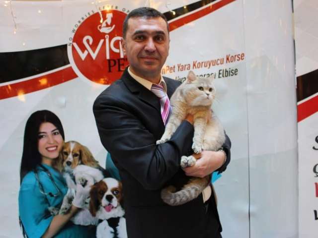 WinPet Cat Show Bosphorus Pearl 06 1024x695